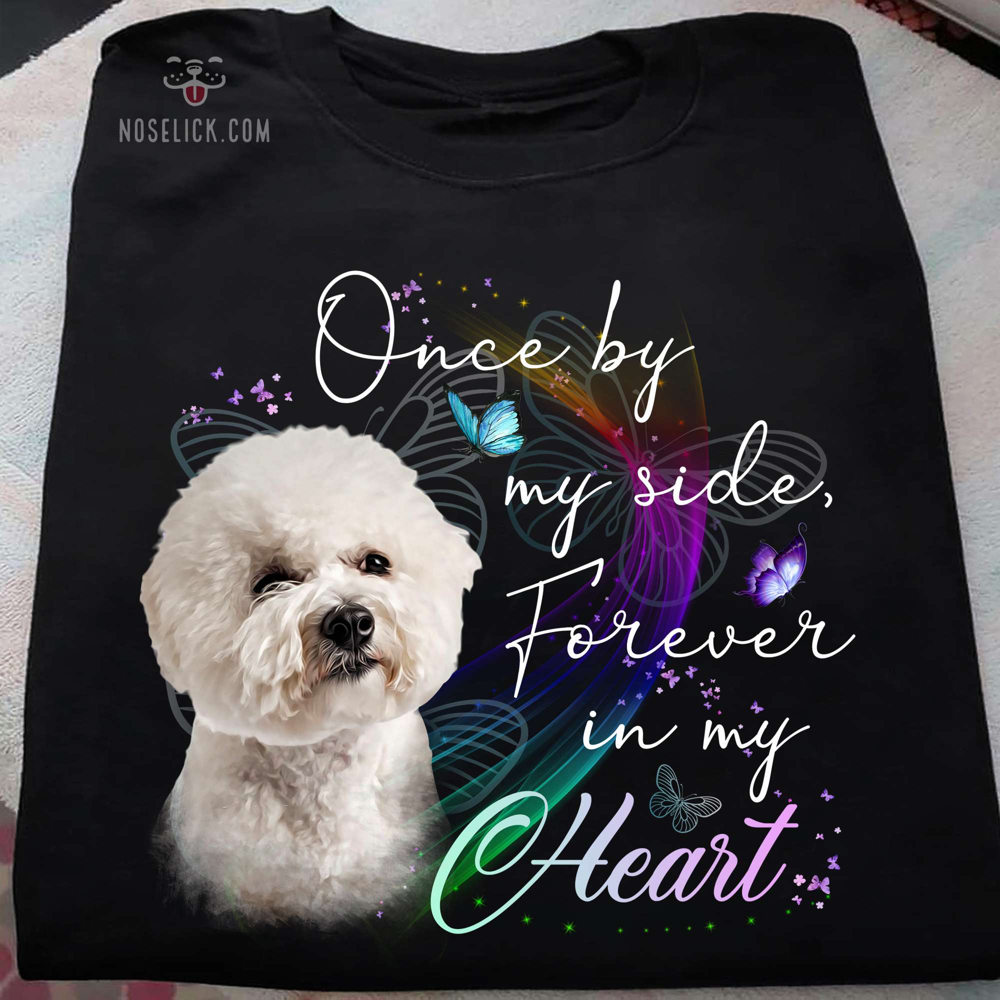 Bichon Frise - Once by my side forever in my heart