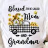 Blessed to be called mom and grandma - Garden gnome on truck, mom and grandma titles