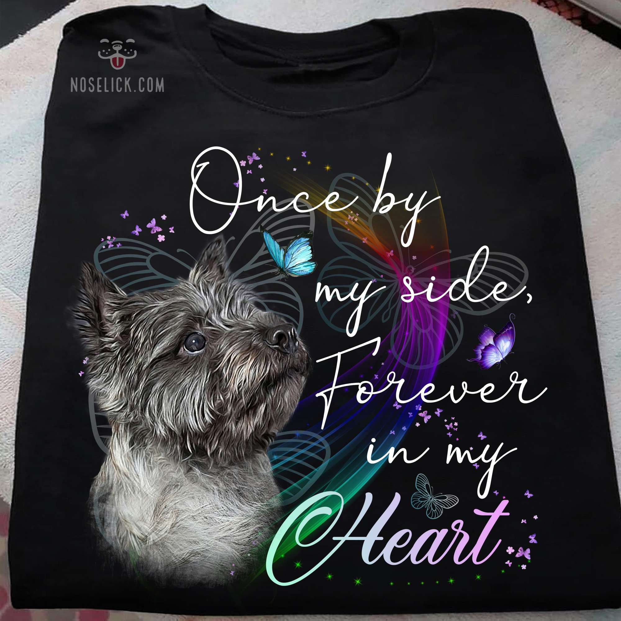 Cairn Terrier - Once by my side forever in my heart