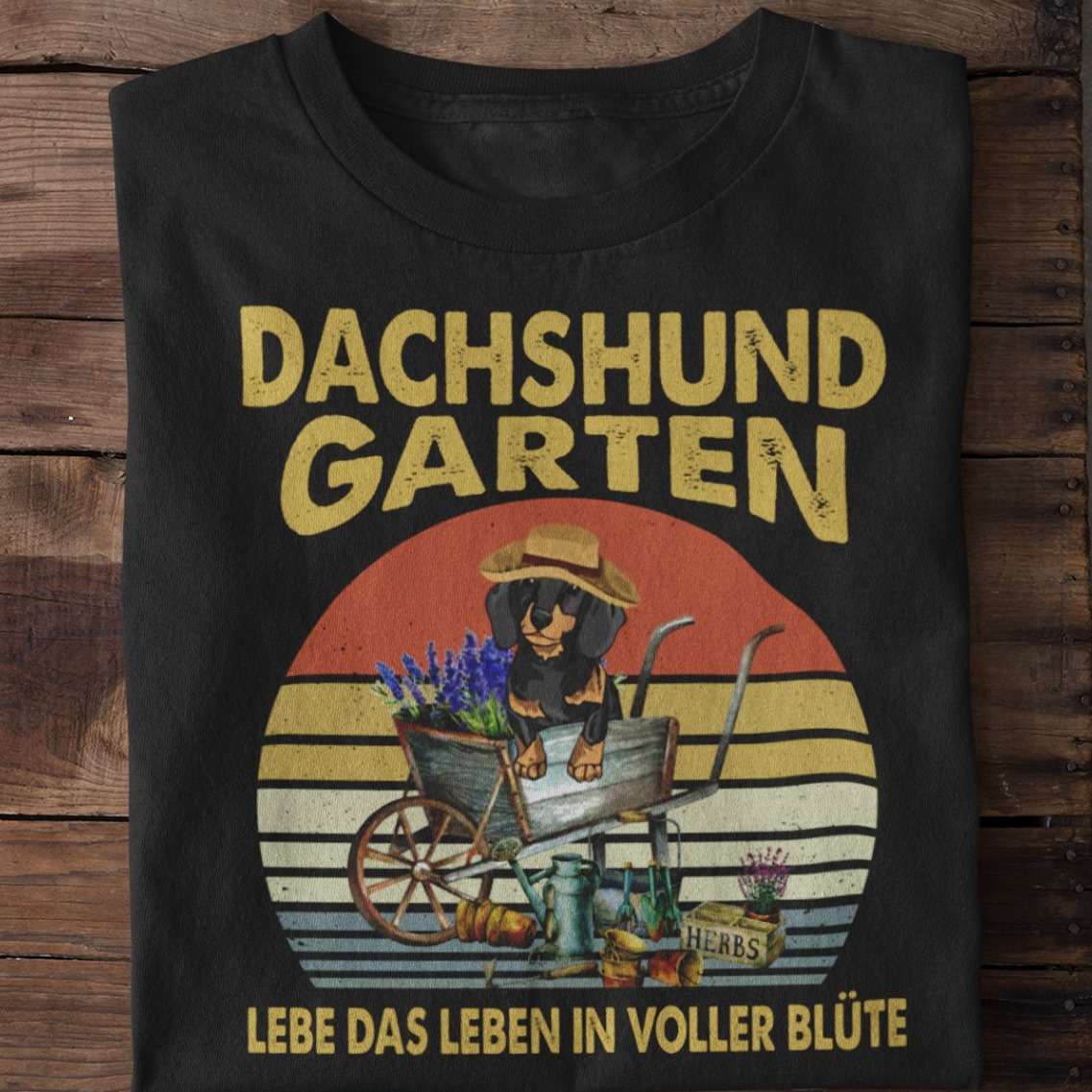 Dachshund garten - Dachshund dog and gardening, love gardening people
