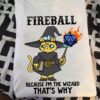 Fireball because I'm the wizard - Cat wizard with fireball, DnD game, Dragon and Dungeon