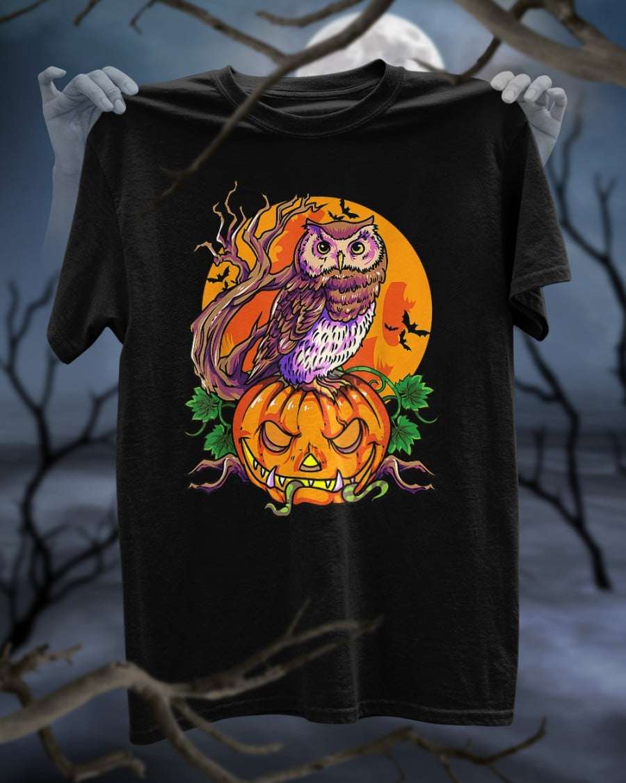 Halloween pumpkin and owl - Night owl for Halloween, Happy Halloween