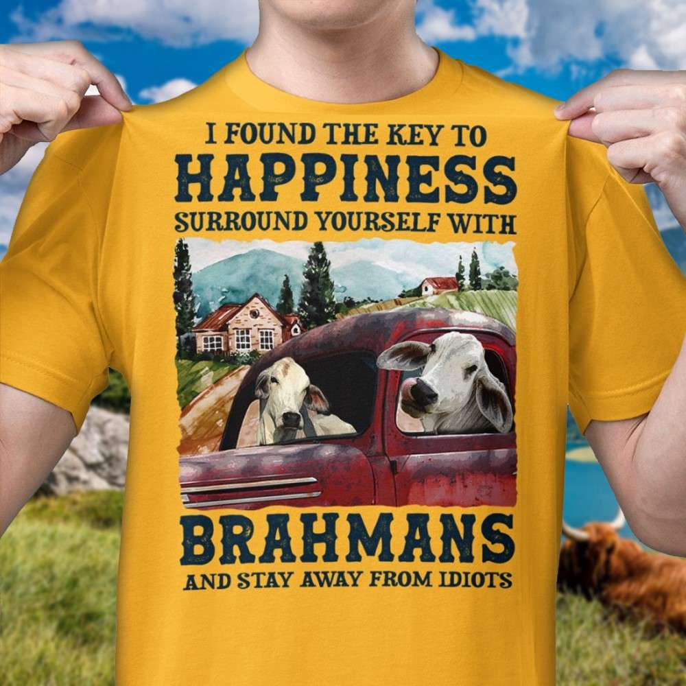 I found the key to happiness surround yourself with Brahmans and stay away from idiots
