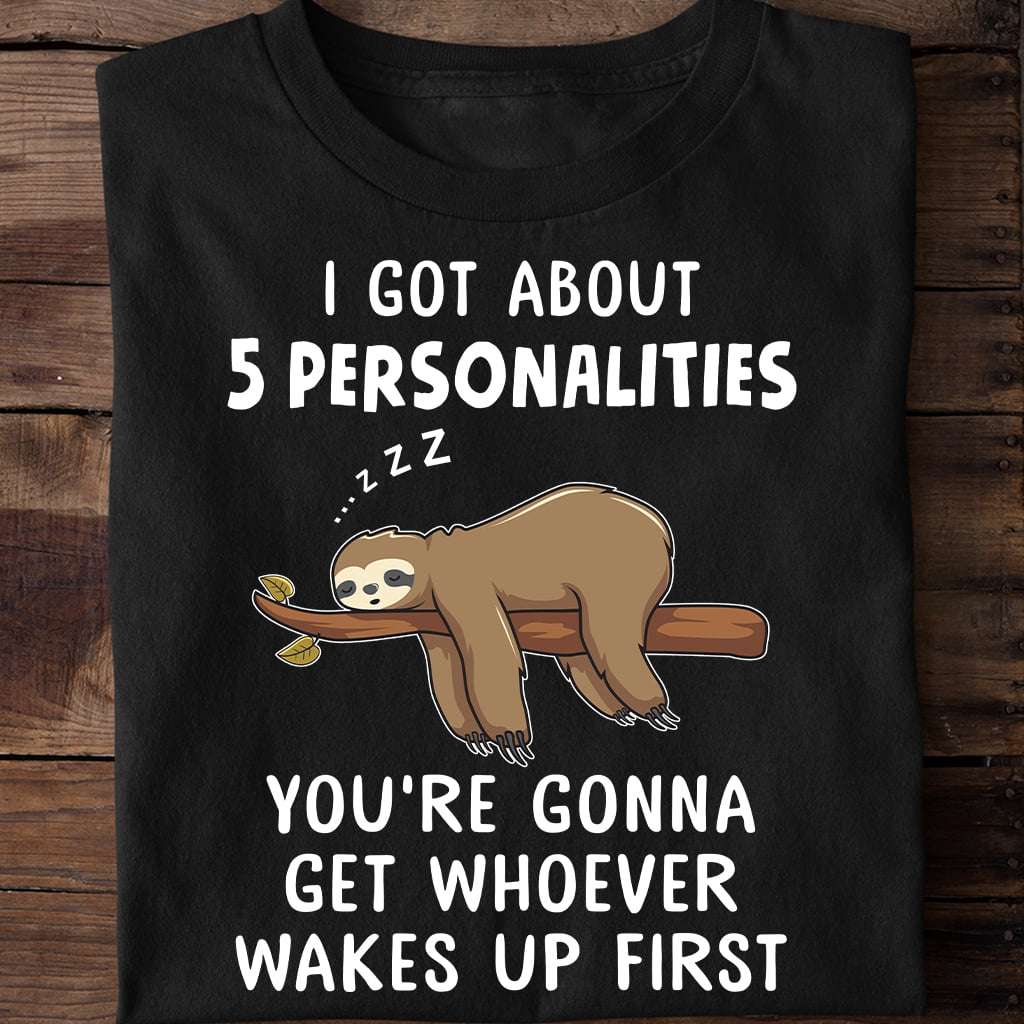 I got about 5 personalities, you're gonna get whoever wakes up first - Sleeping sloth, sloth lazy animal
