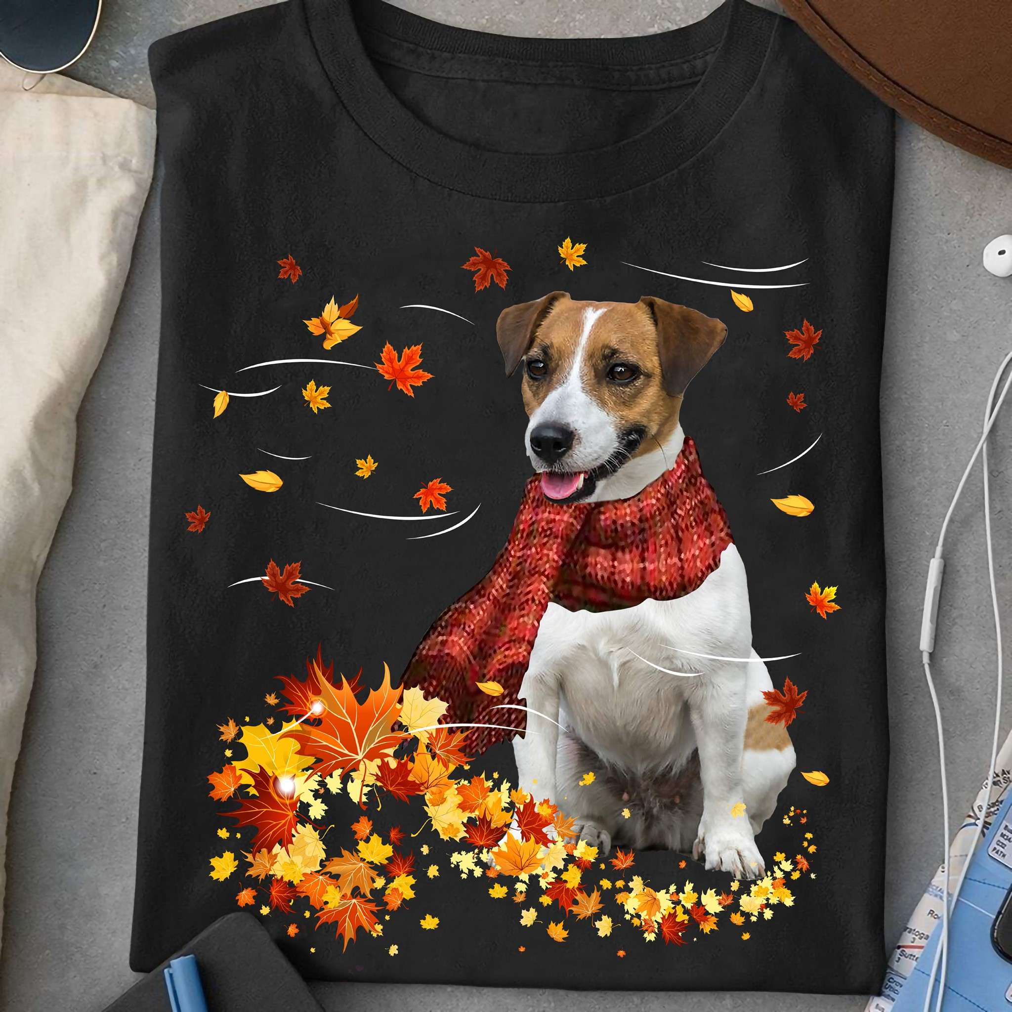 Jack Russell Terrier Autumn - Autumn Season, Who Loves Dogs
