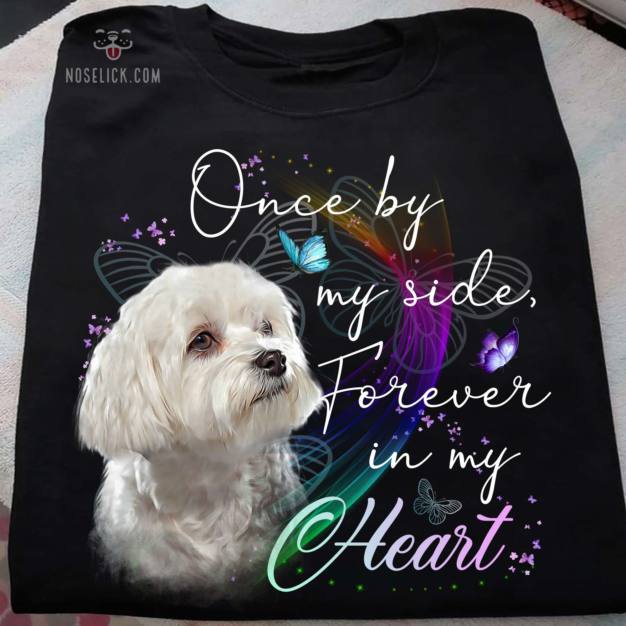 Maltese Furever - Once by my side forever in my heart