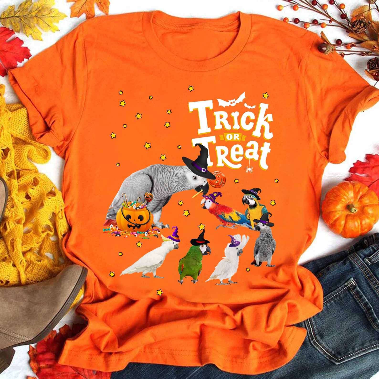 Trick or treat - Parrot witch, Halloween pumpkin and candy