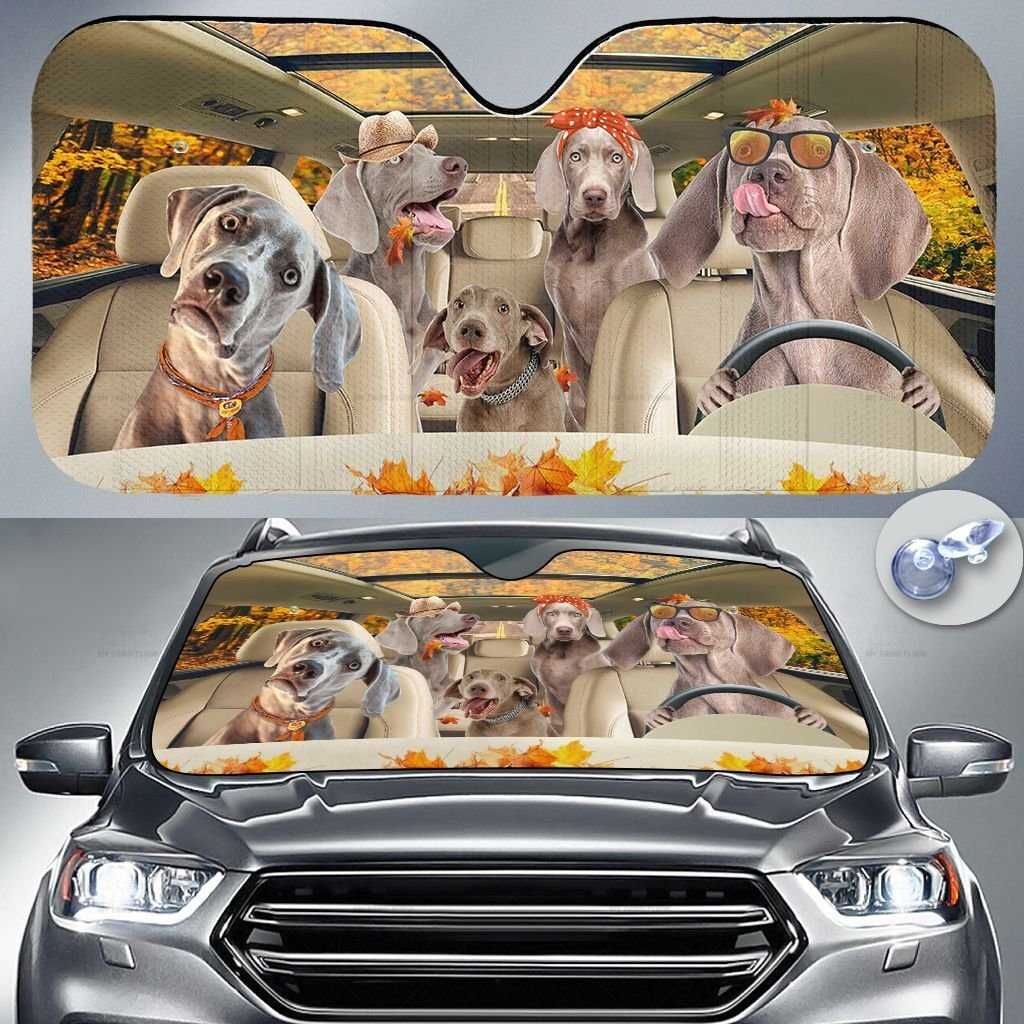 Weimaraner Dog, Dog Lovers, Autumn Road, Car Auto Sunshade