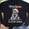 Cat Christmas Hat - Merry Christmas Ya Filthy Human