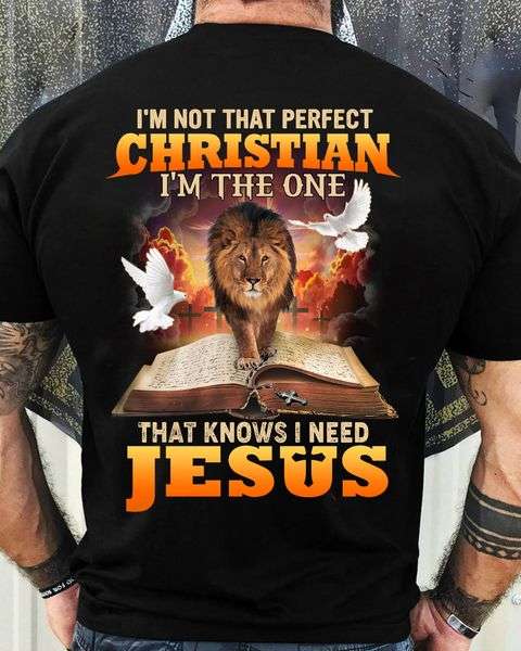 Lion Of God, Bible Of God - I'm not that perfect christian i'm the one that knonws i need jesus