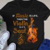 If music is life then the violin is it's soul