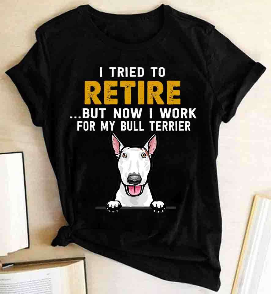 Bull Terrier - I tried to retire but now i work for my bull terrier