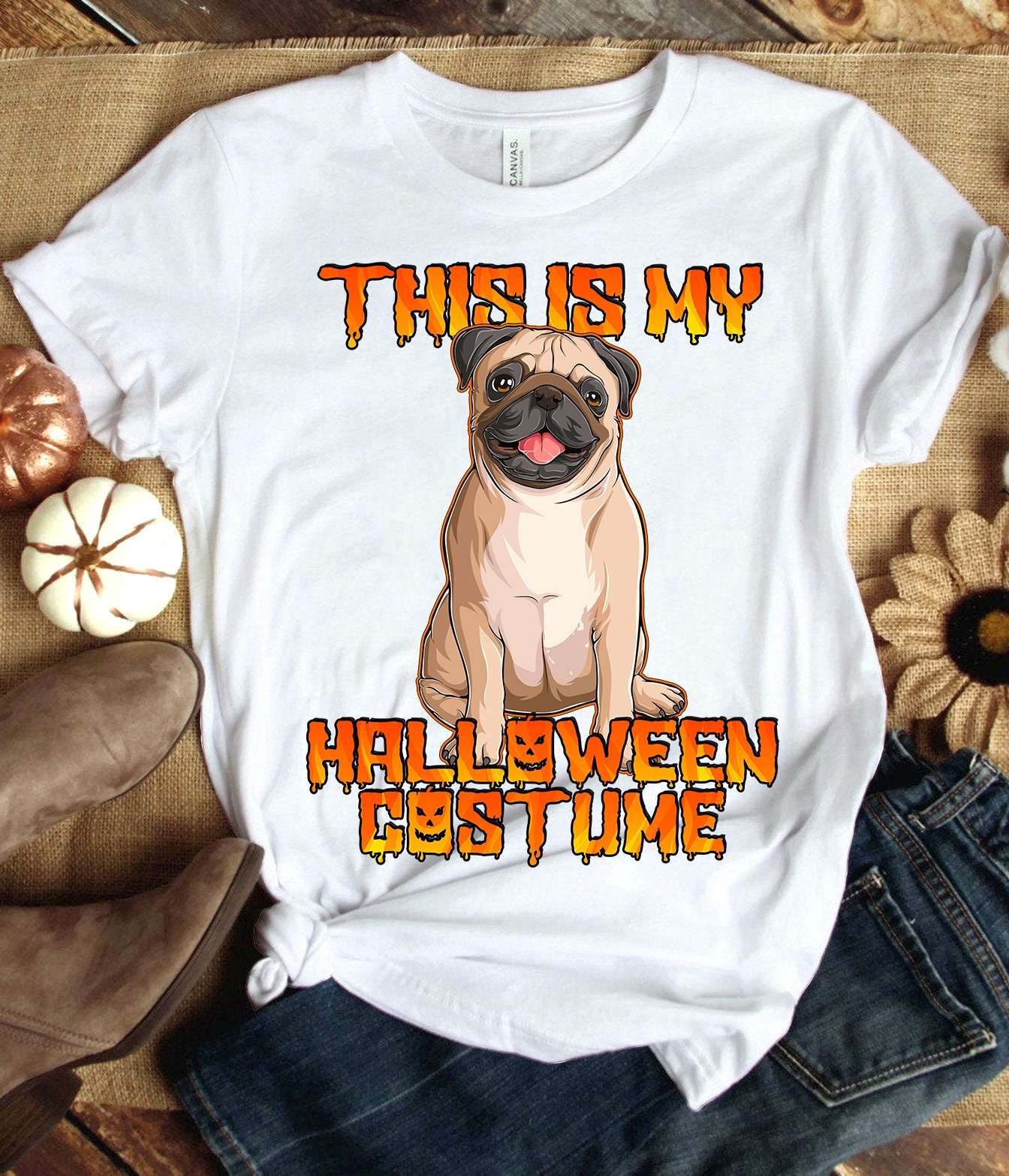 Halloween Pug Dog - This is my halloween costume