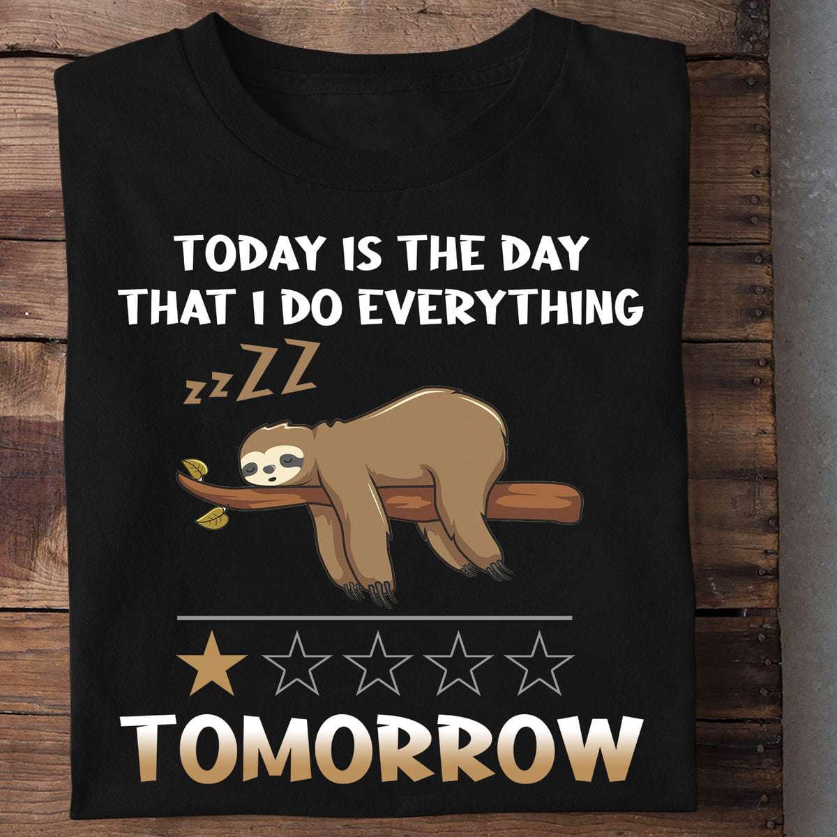 Sloth Sleeping - Today is the day that i do everything tomorrow