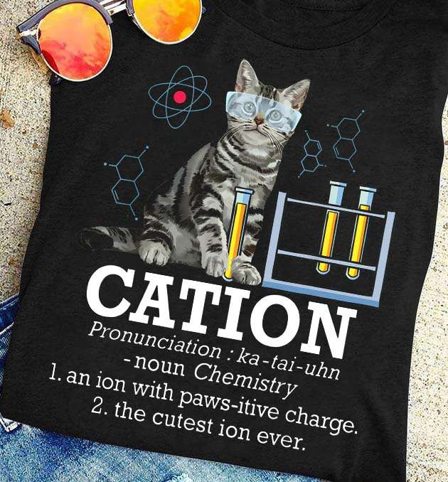 Professor Cat of Chemistry Experiment - Cation pronunciation: ka-tai-uhn-noun Chemistry 1. an ion with paws-itive charge 2. the cutest ion ever