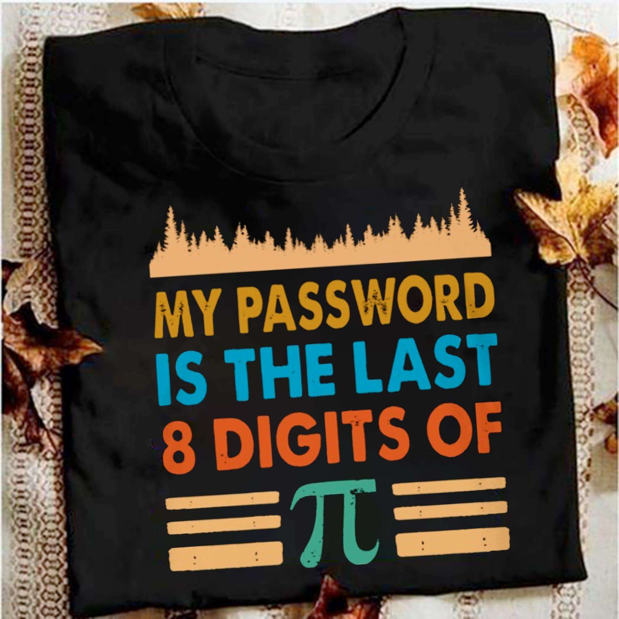 My password is the last 8 digits of pi - Pi in math Math knowledge