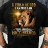 A child of god I am who I am your approval isn't needed - Lion and god, Jesus the god