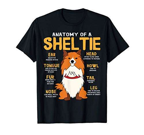 Anatomy of Sheltie - Sheltie dog, gift for dog lover