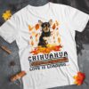 Chihuahua dog - Love is loading, autumn wonderful season