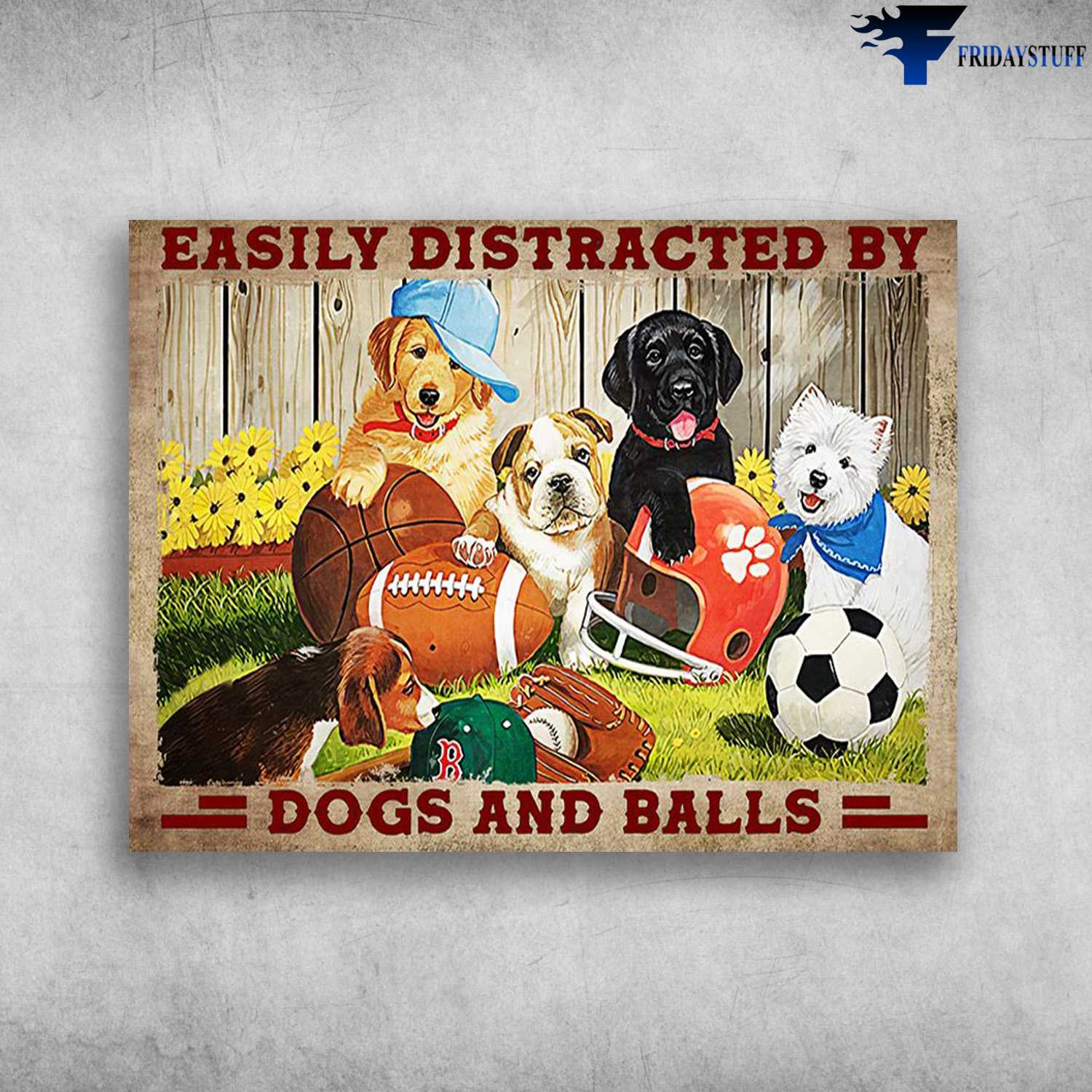 Dog And Sport - Easily Distracted By, Dog And Balls, Dog Lover