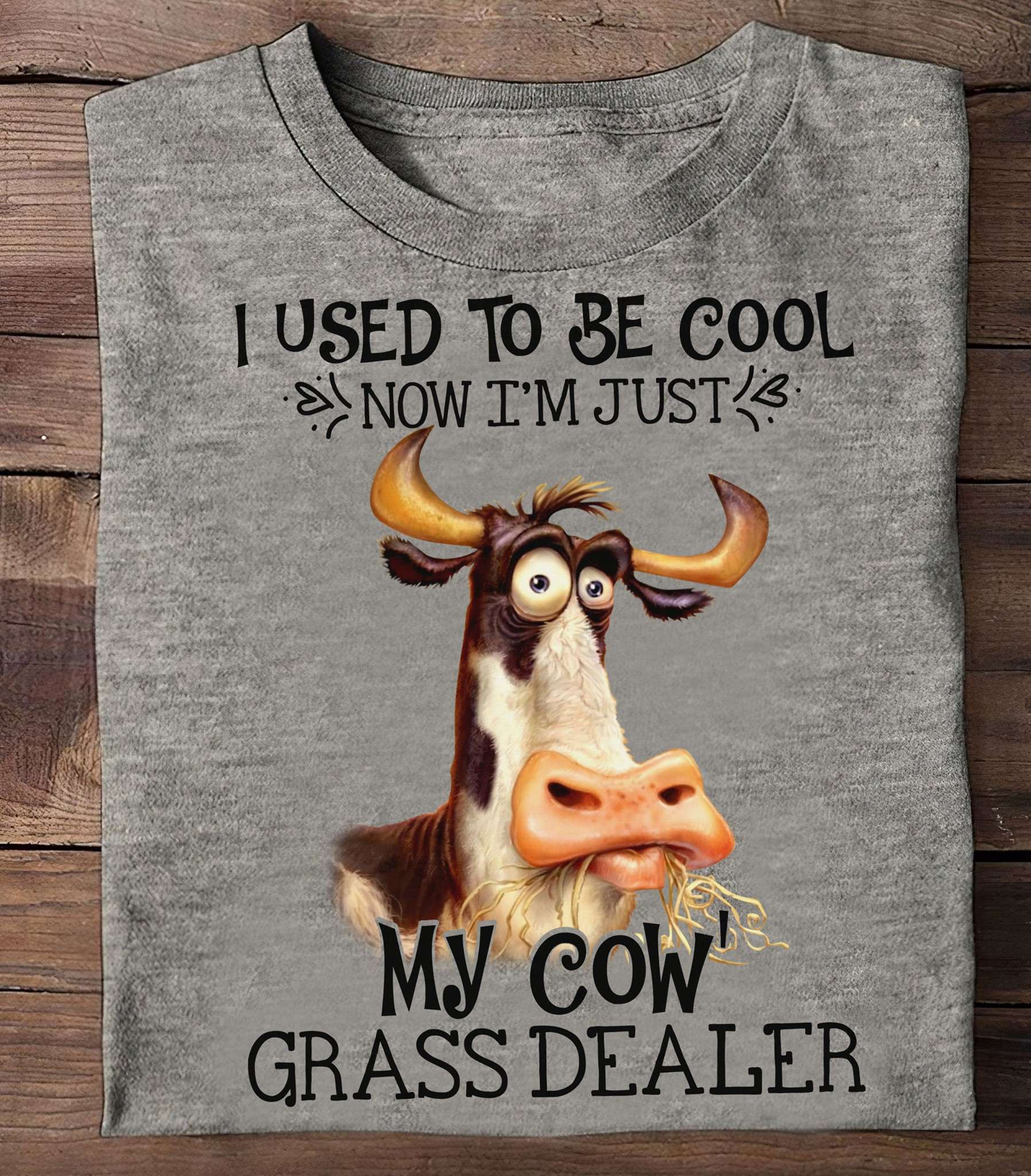 I used to be cool now I'm just my cow grass dealer - Funny cow graphic T-shirt, cow lover gift