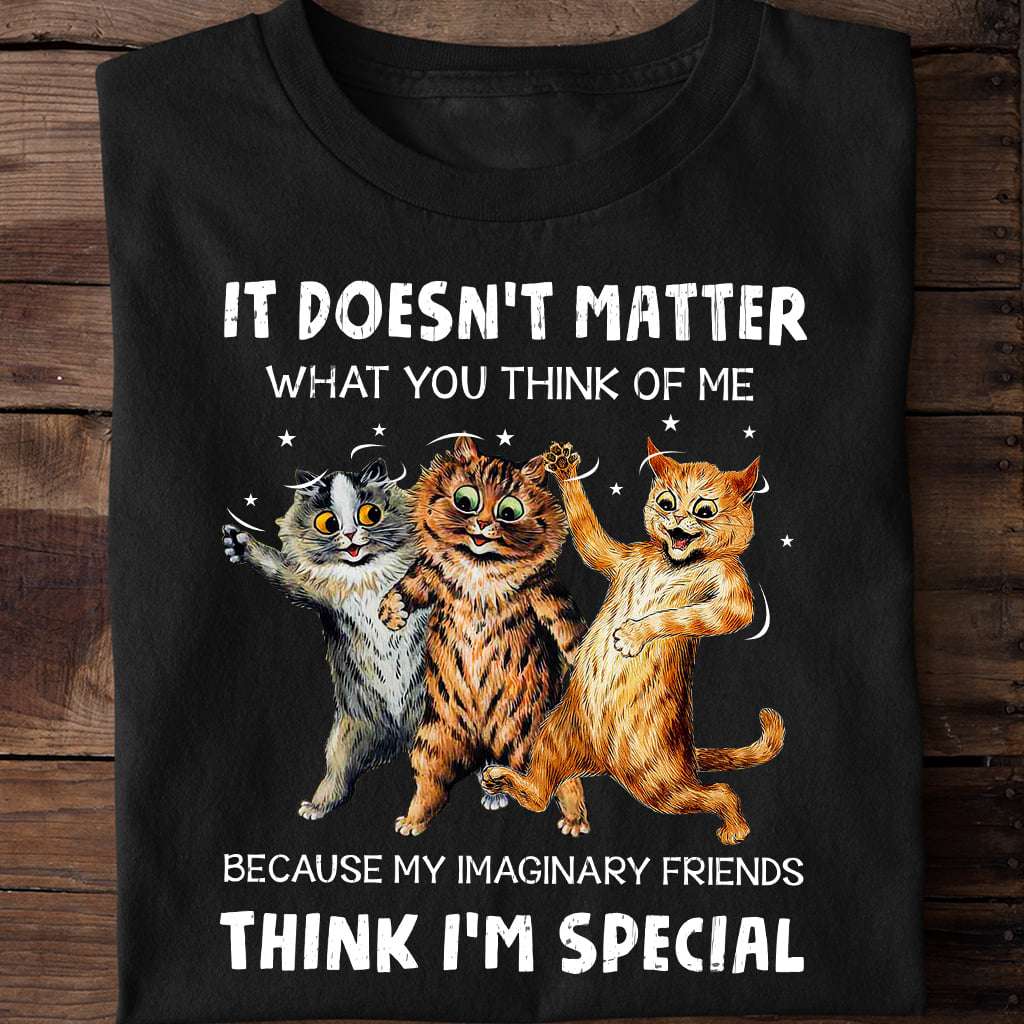 It doesn't matter what you think of me because my imaginary friends think I'm special - Crazy cat friends