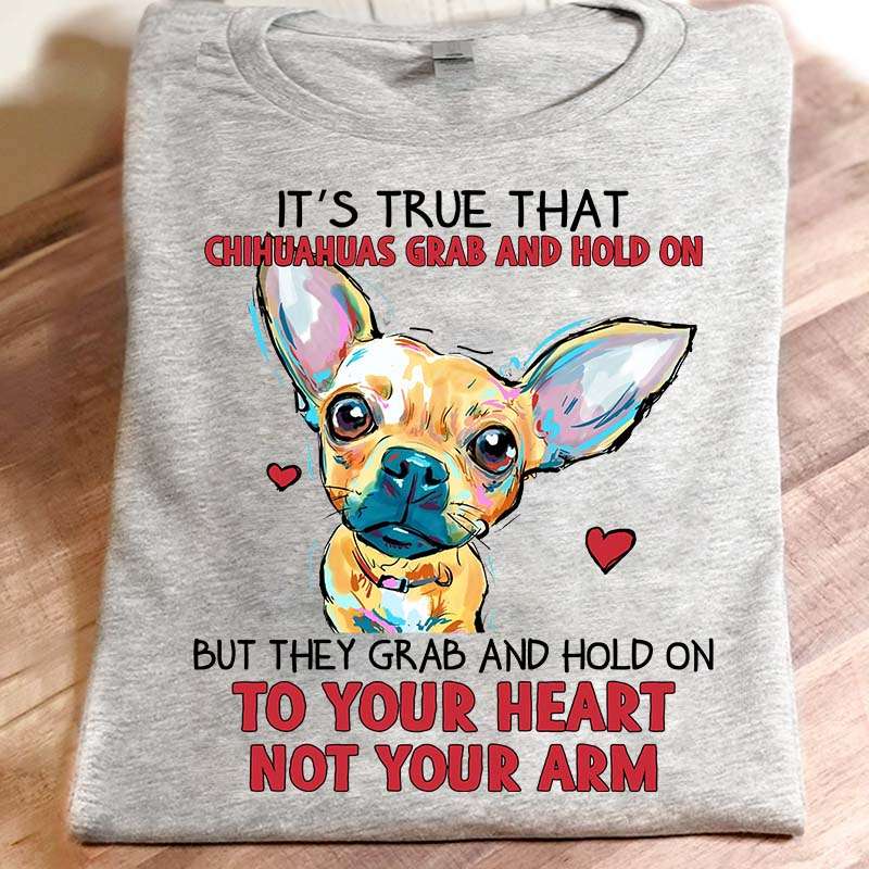 It's true that Chihuahuas grab and hold on - Chihuahua hold your heart, Gorgeous Chihuahua dog