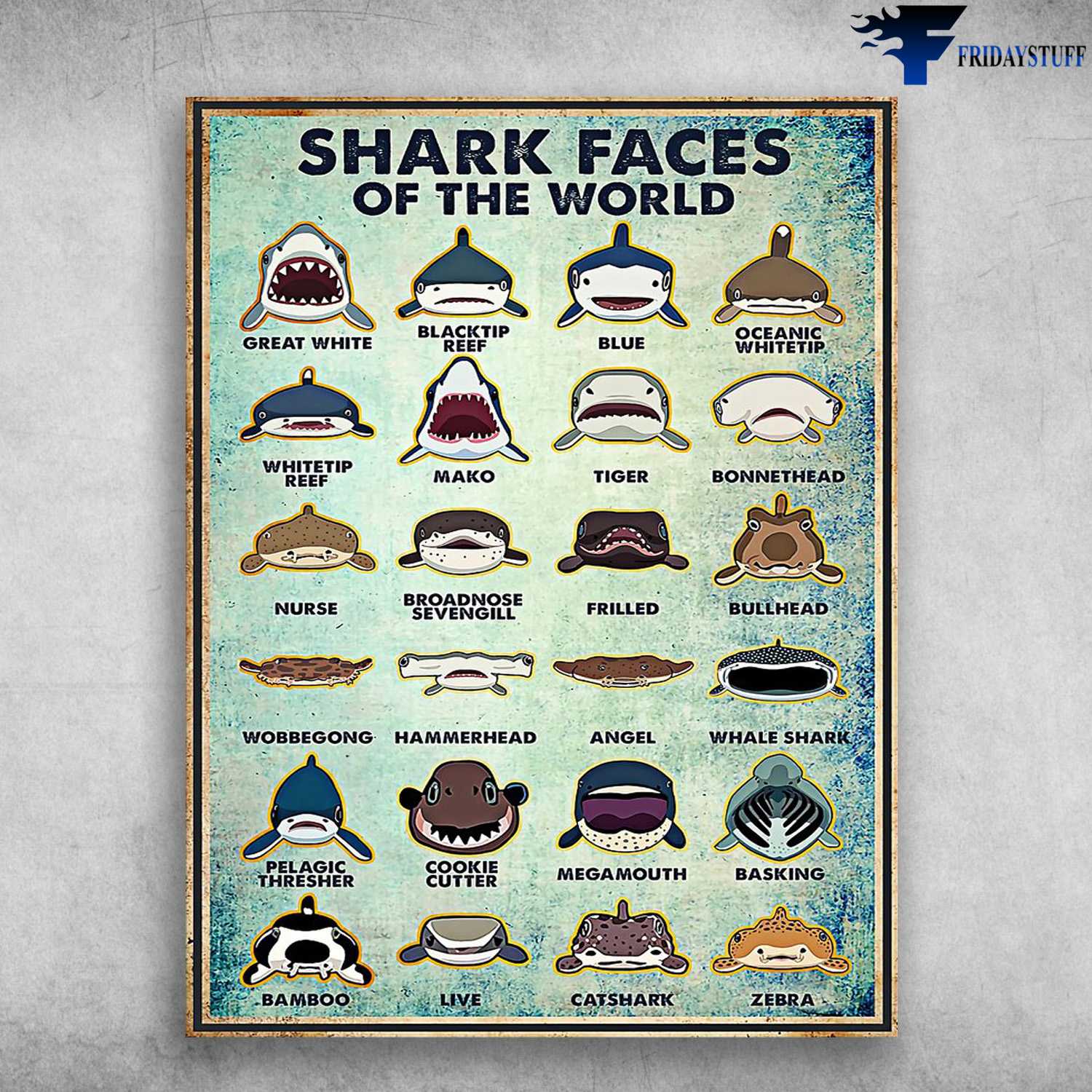 Shark Faces Of The World - Great White, Blacktip Reef, Blue, Oceanic Whiteup, Whitetip Reef, Mako, Tiger, Types Of Shark