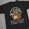 Support your local street cats - Gorgeous raccoon, adopt street cat