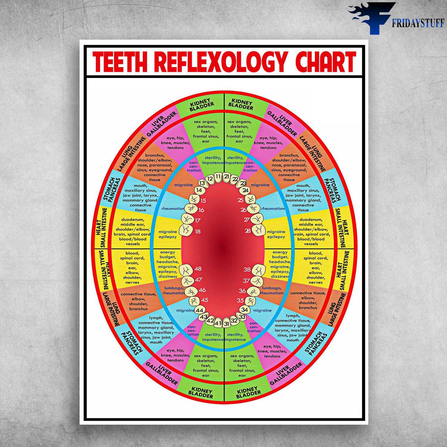 Teeth Reflexology Chart - Kidney Bladder, Kidney Bladder, Liver Gallbladder, Teeth Care