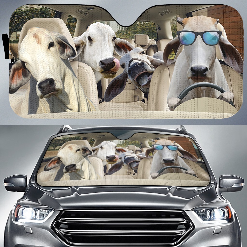 White Cattle, Cattle Auto Sunshade, Funny Cows