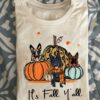 German Shepherd And Pumpkin, Fall Season, Thanksgiving Gift - It's fall y'all