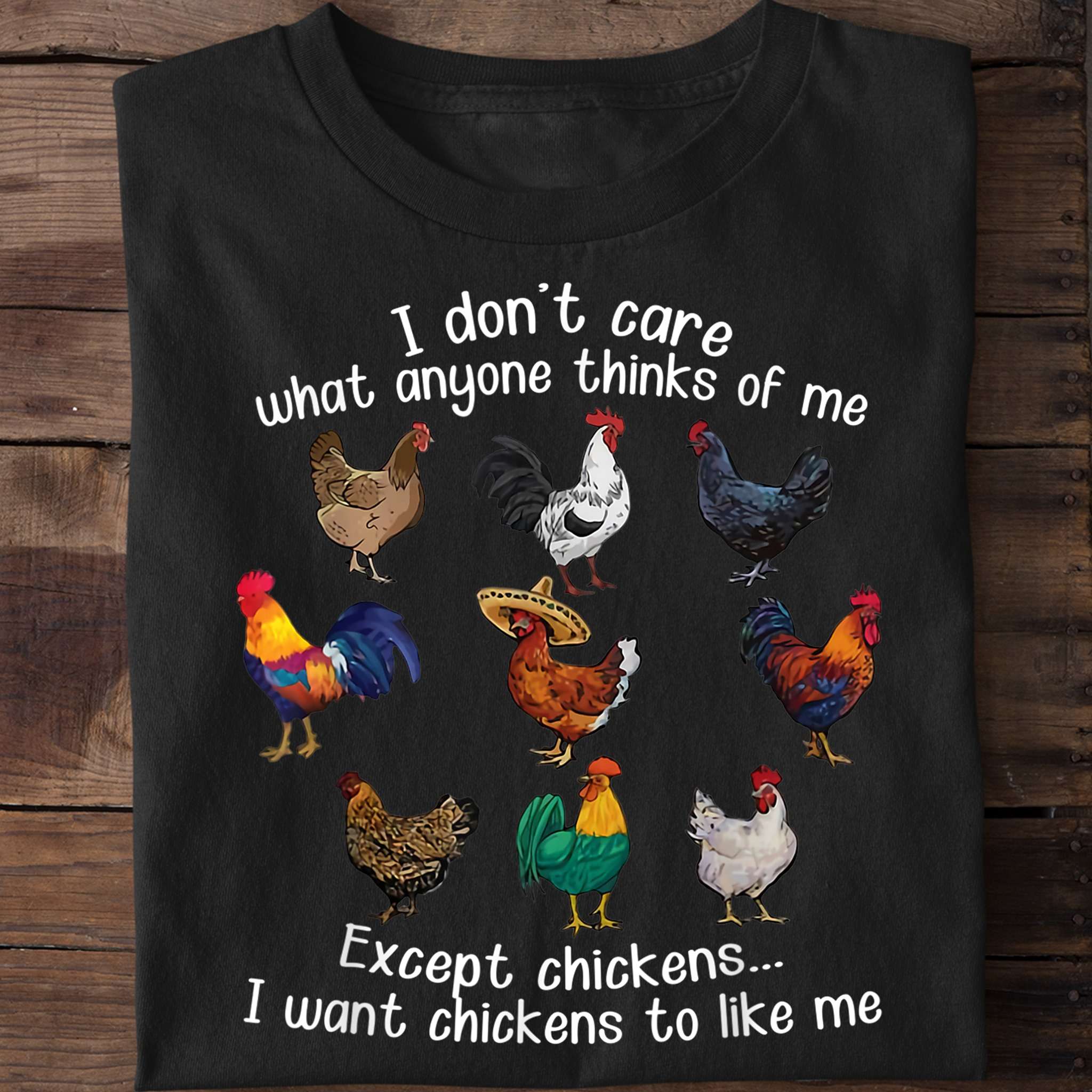 I don't care what anyone thinks of me except chickens i want chickens to like me - Types Of Chicken Breeds