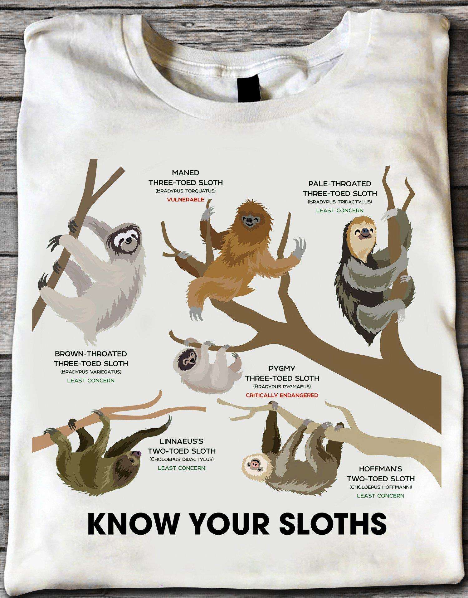 Funny Sloth, Know Your Sloth - Maned three-toed sloth, Pale-throated three-toed sloth, brown-throated three-toed sloth