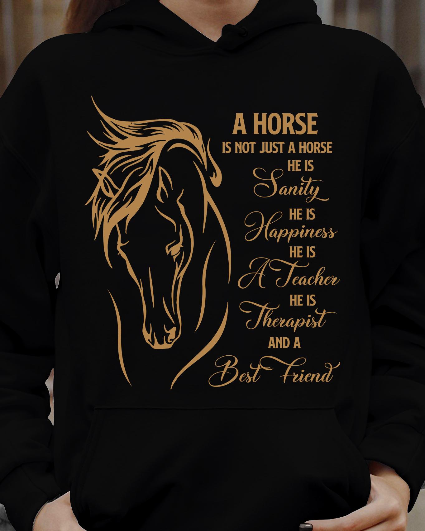 A horse is not just a horse - He is family, happiness, a teacher and a best friend, horse lover