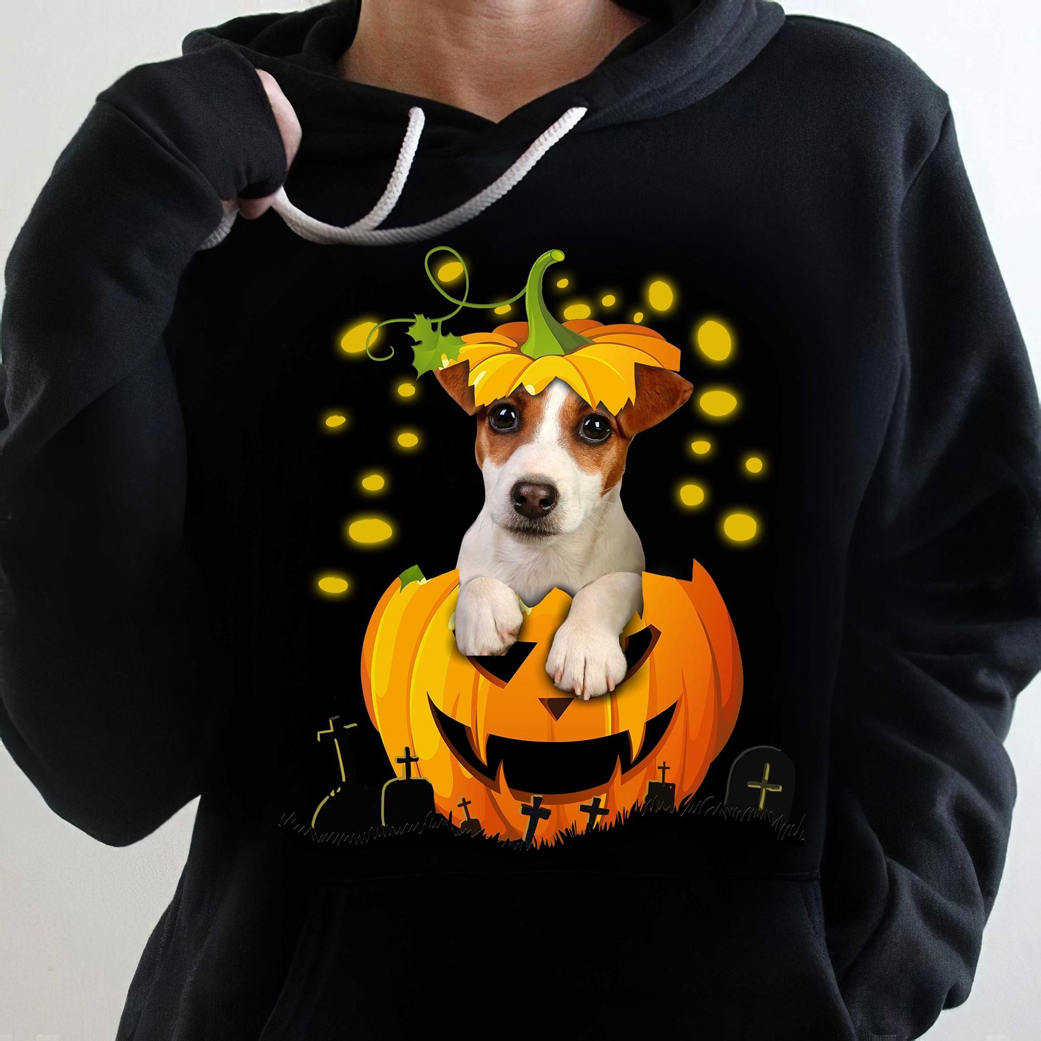 Beagle dog and pumpkins - Halloween devil pumpkin, Happy Halloween gift