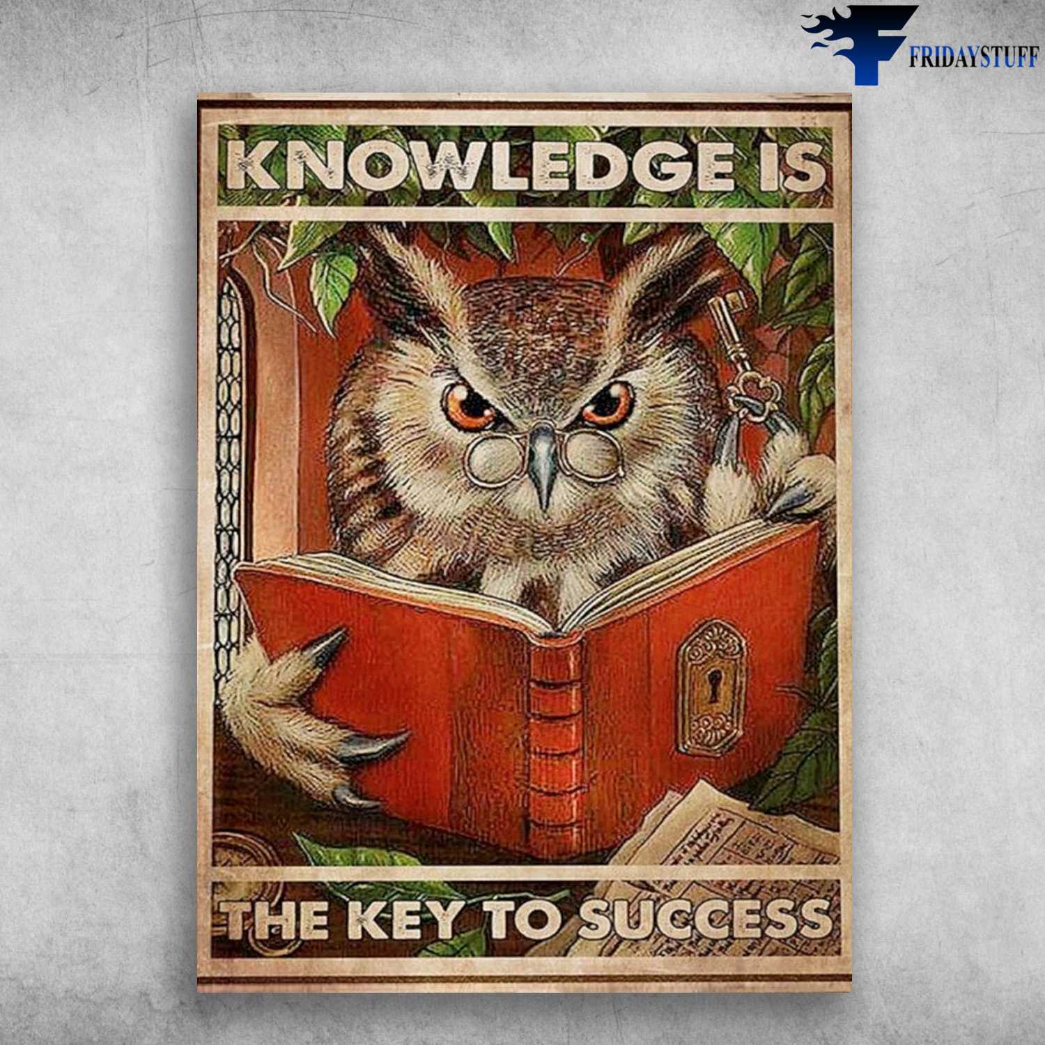 Book Lover, Owl Reading, Knowledge Is The Key To Success