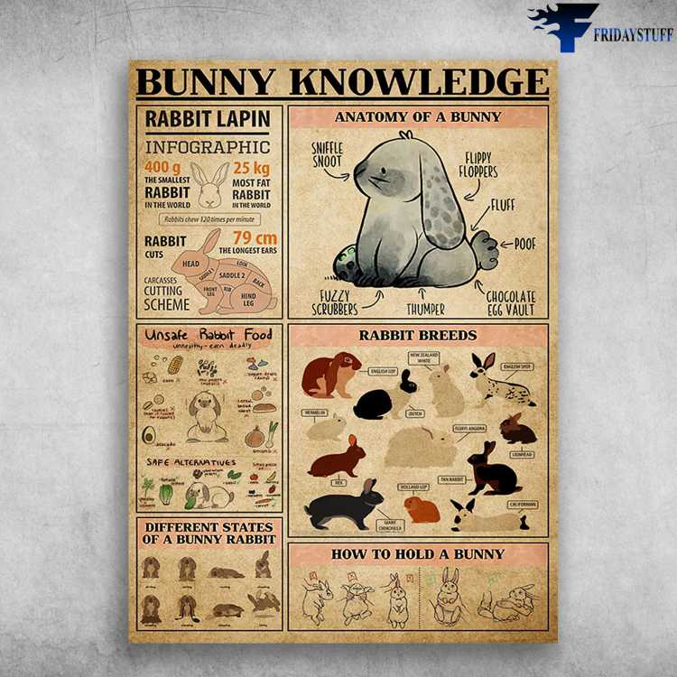 Bunny knowledge, Rabbit Lover - Rabbit Lapin, Anatomy Of A Bunny, Rabbit Breeds, Unssafe Rabbit Food