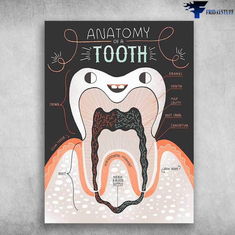 Dentist Poster, Teeth Care - Anatomy Of A Tooth, Periodontal Ligament, Cum Tissue