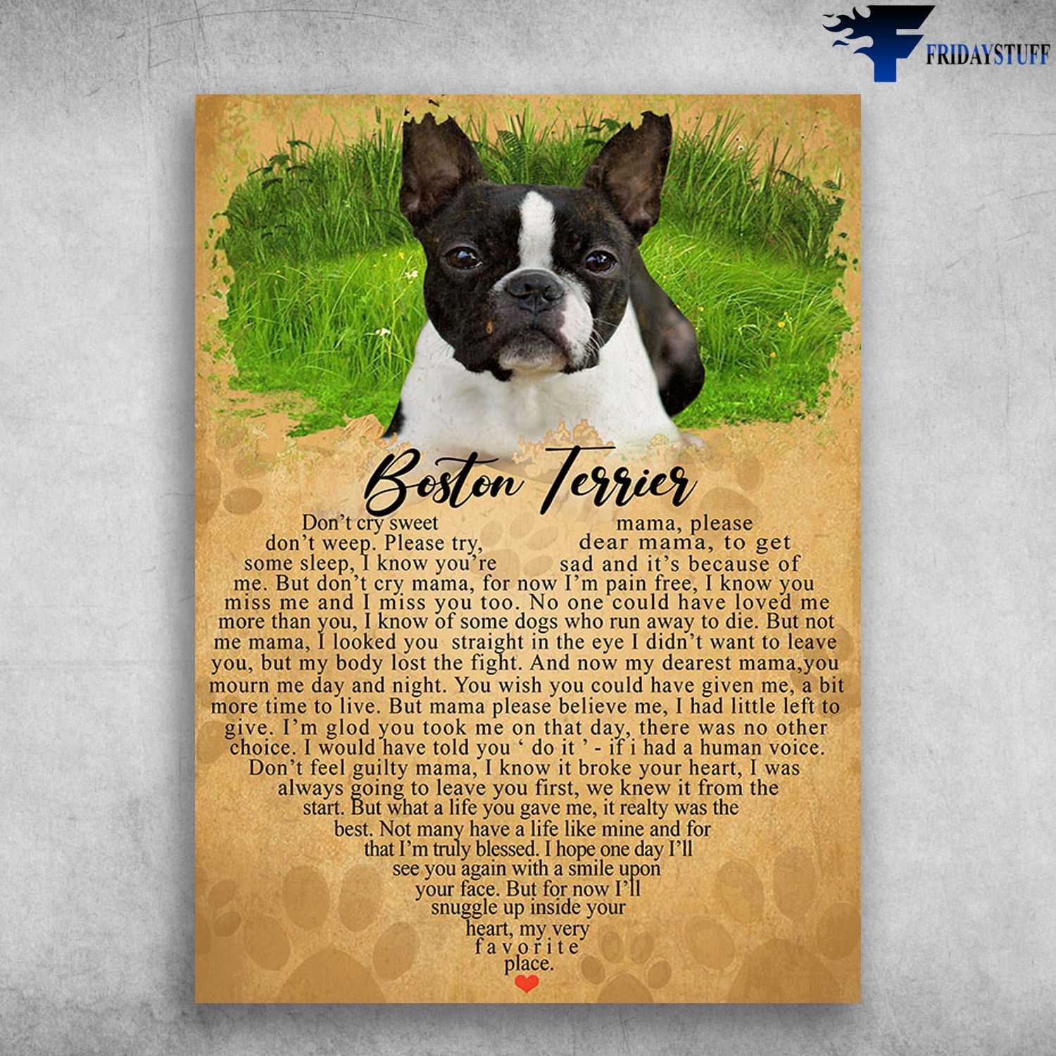 Dog Lover, Boston Terrier Dog, Don't Cry Sweet Mama, Please Don's Weep, Please Try, Dear Mama, To Get Some Sleep, I Know You're Sad And It's Because Of Me