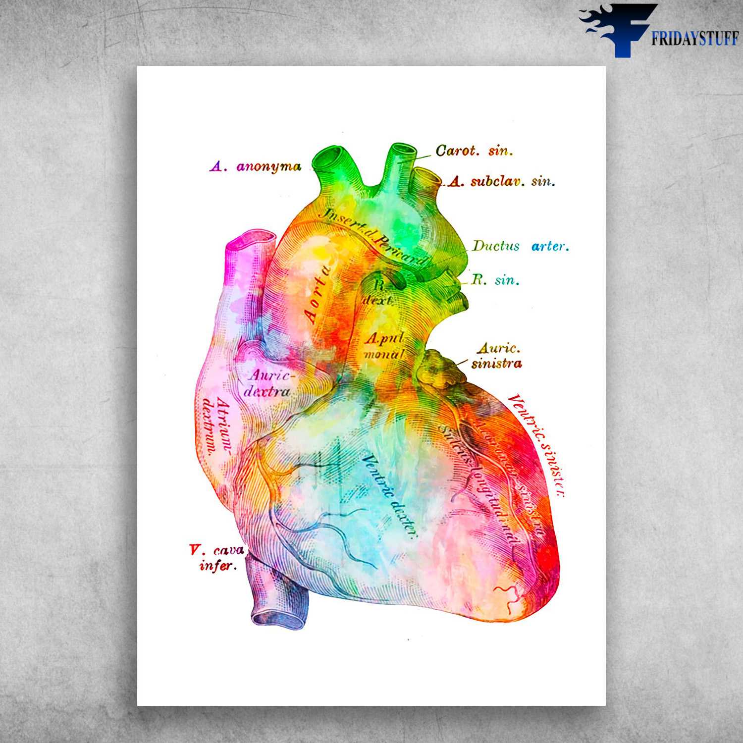 Heart Poster, Colorful Heart, Heart Structure