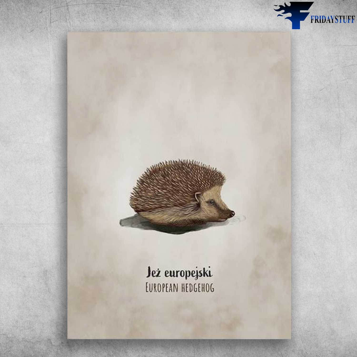 Hedgehog Poster, Hedgehog Lover, Jeż Europejski, European Hedgehog