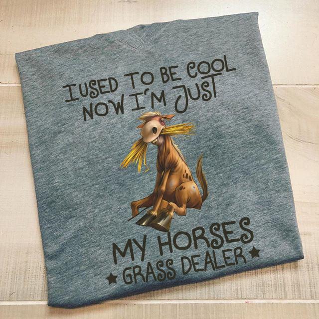 I used to be cool now I'm just my horses grass dealer - Horse owner gift