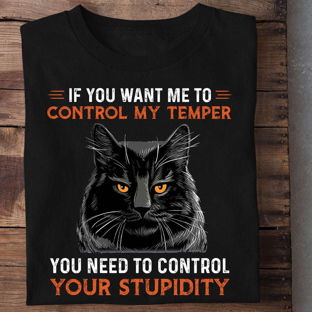 If you want me to control my temper, you need to control your stupidity - Black cat, gift for cat lover