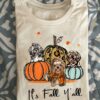 It's fall y'all - Shih Tzu dog, dog and pumpkins, fall wonderful season