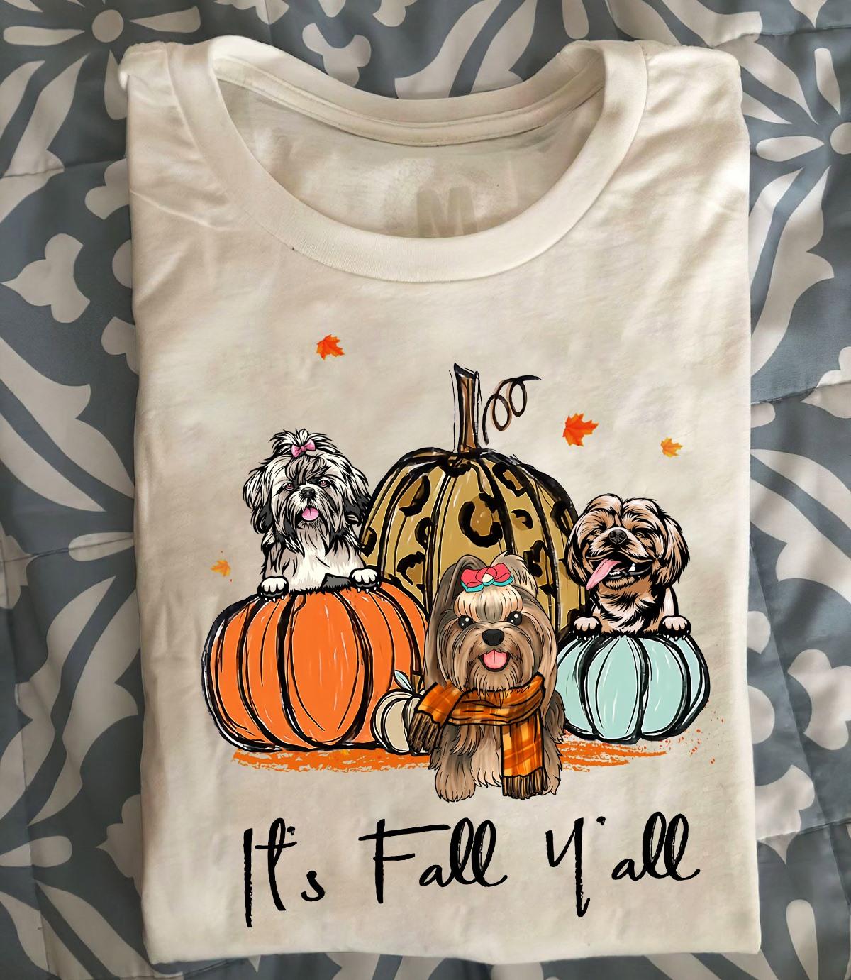 It's fall y'all - Shih Tzu dog, dog and pumpkins, fall wonderful season