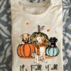 It's fall y'all - rhodesian dog, dog and pumpkins, fall wonderful season