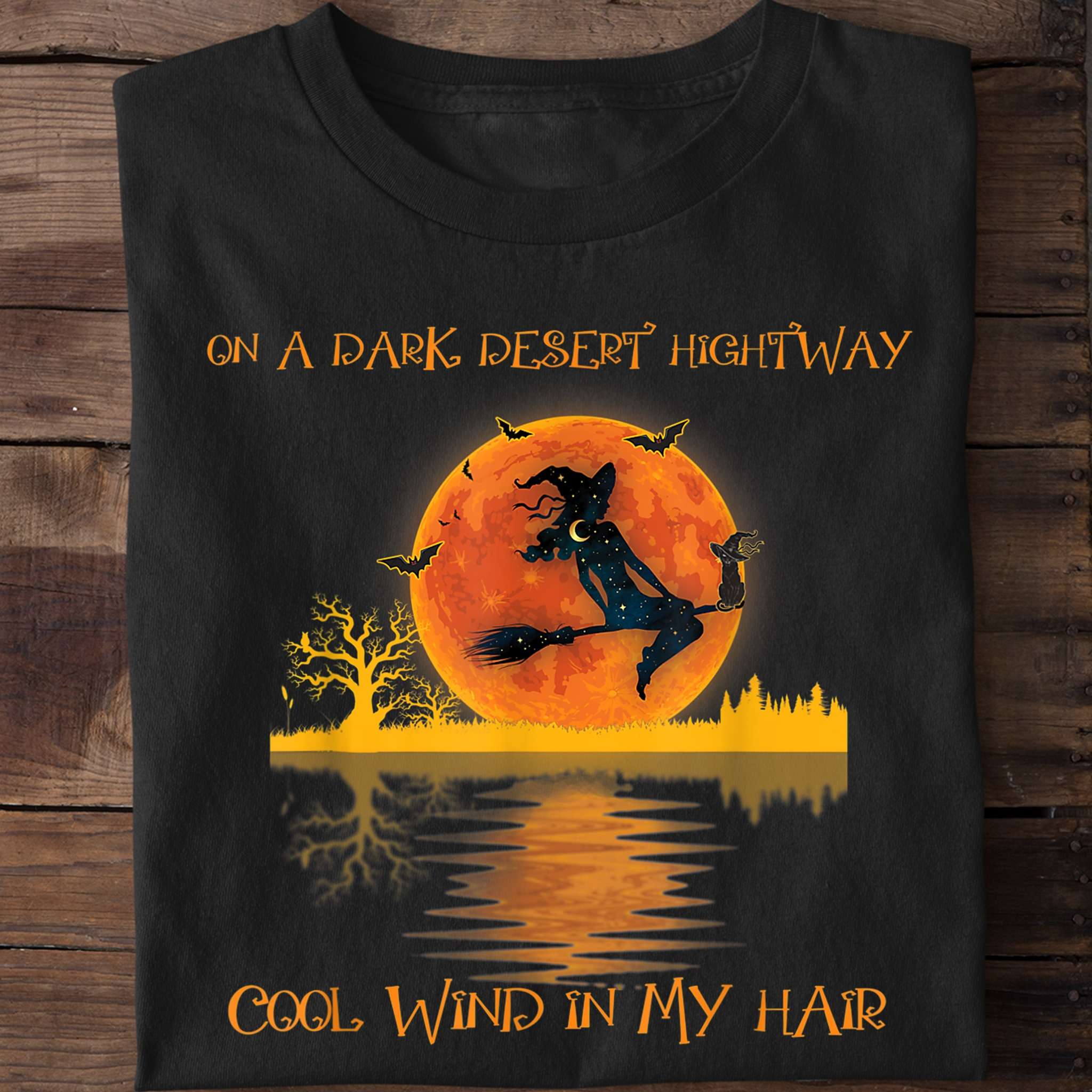 On a dark desert highway, cool wind in my hair - Halloween witch riding broom, witch and cat