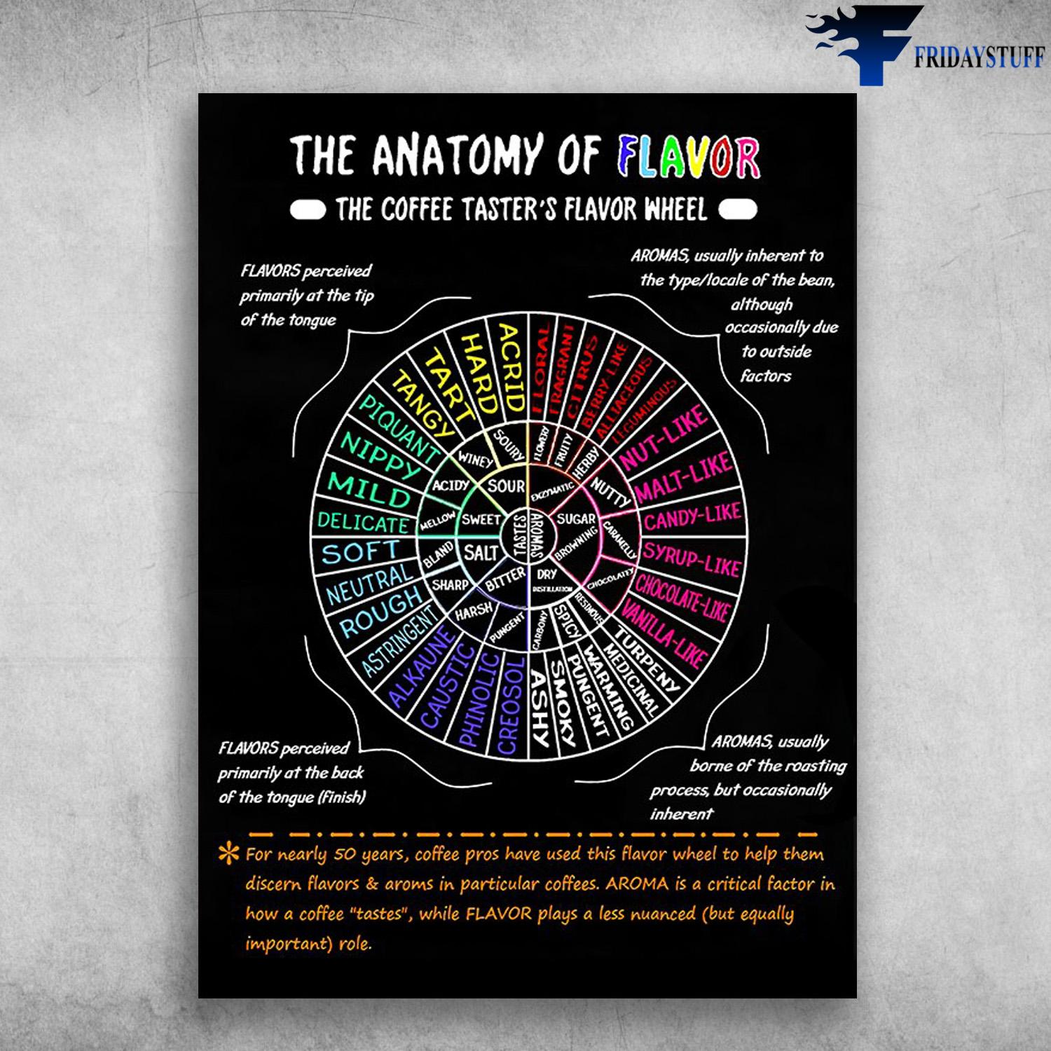 The Anatomy Of Flavor, The Coffee Taster's Flavor Wheel, Flavors Perceived Primarily, At The Tip Of The Tongue