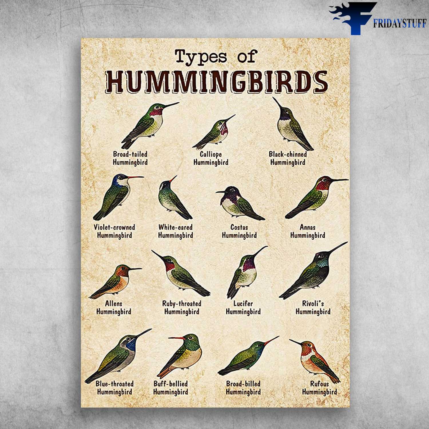 Types Of Hummingbirds, Hummingbird Poster, Hummingbird Lover